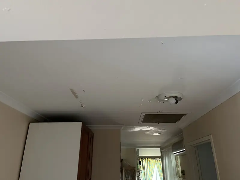 A stained ceiling and dark water damage: the water damage we started with