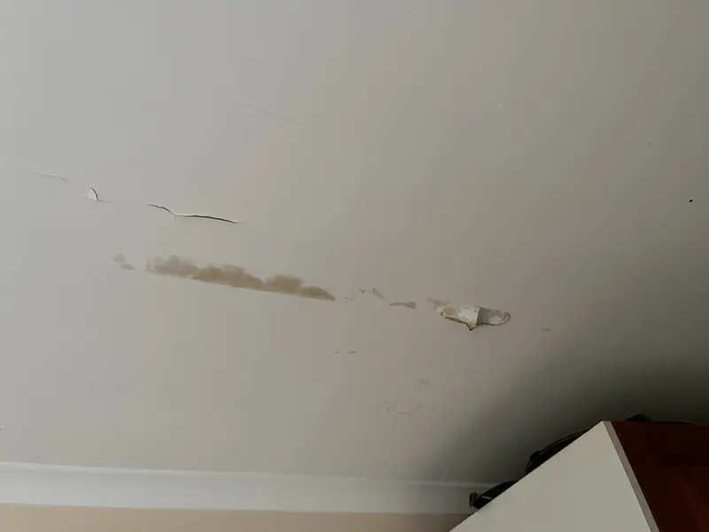 A patchy, water-stained ceiling with peeling paint, from the roof leak