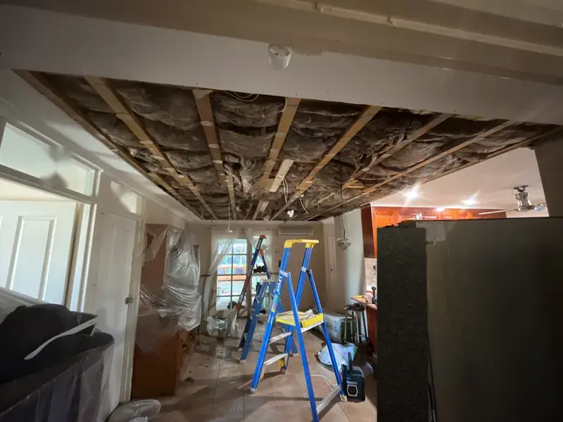 The ceiling taken down along the length of the room, with old insulation and cabling in the roof space and a ladder below